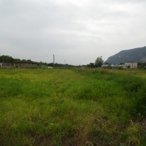 Terreno agricolo - zona Foce
